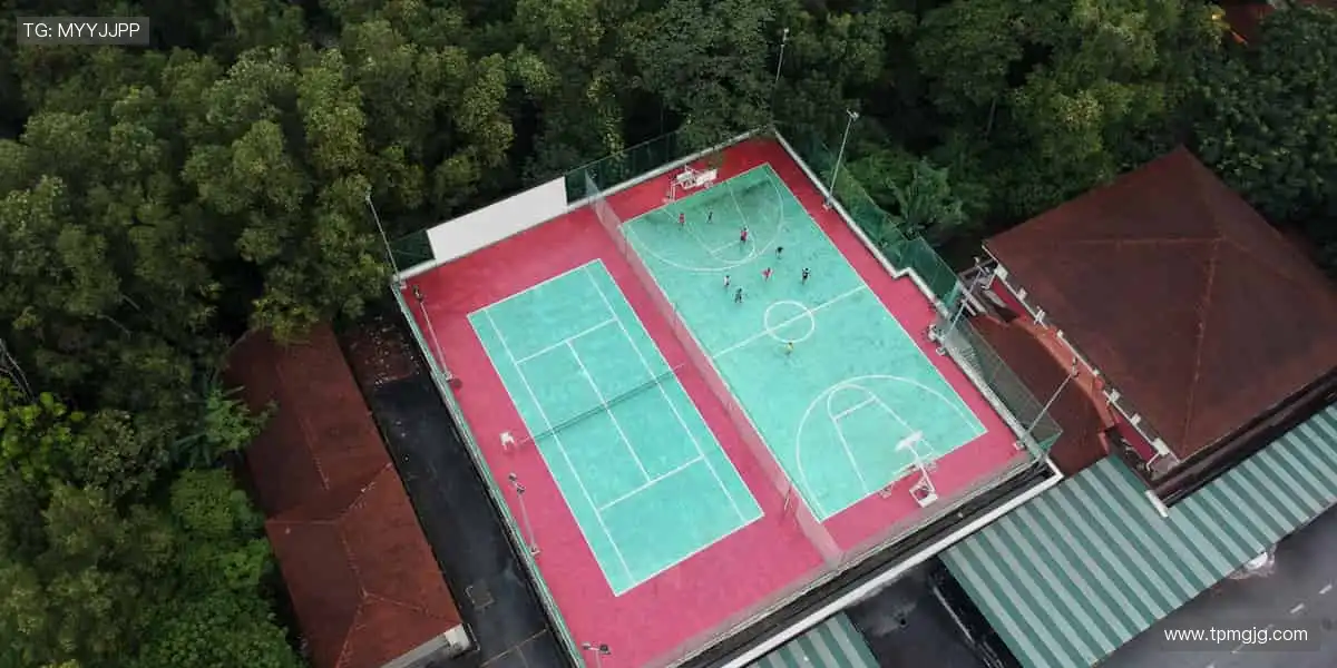 随时随地，赛事直播不缺席！📱